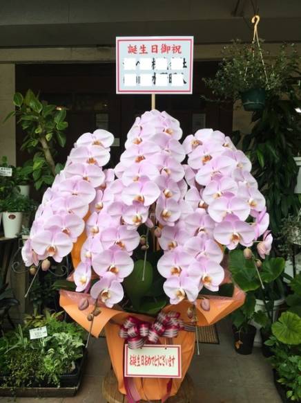 「さくらフローリスト」　（熊本県熊本市中央区）の花屋店舗写真4