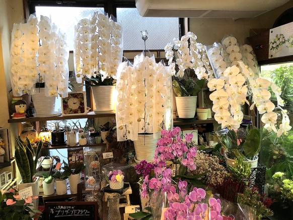 「さくらフローリスト」　（熊本県熊本市中央区）の花屋店舗写真2